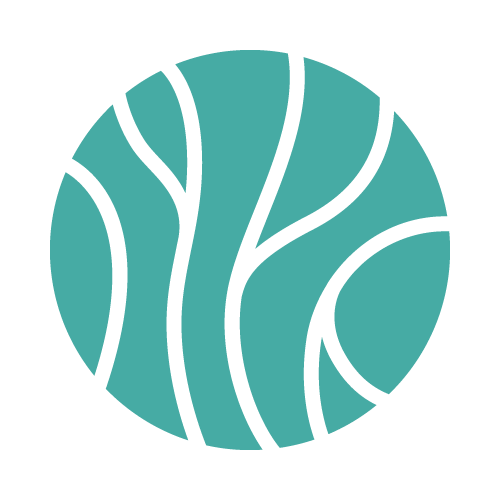 Academy for Neurovascular Release™ – Germany